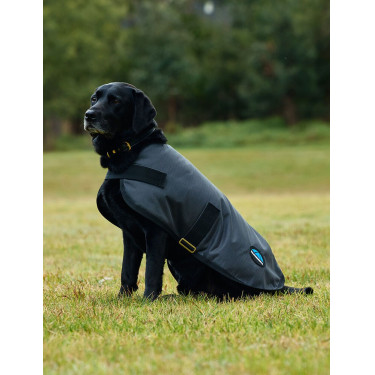 Coperta impermeabile per cane Weatherbeeta ComFiTec Classic Carbone di legna Grigio Coperta impermeabile per cane Weatherbeeta ComFiTec Classic Carbone di legna Grigio