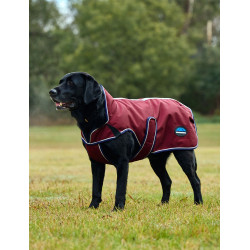 Coperta impermeabile per cani WeatherBeeta ComFiTec Premier Deluxe Borgogna / blu navy