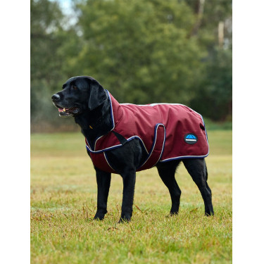 Coperta impermeabile per cani WeatherBeeta ComFiTec Premier Deluxe Borgogna / blu navy Coperta impermeabile per cani WeatherBeeta ComFiTec Premier Deluxe Borgogna / blu navy