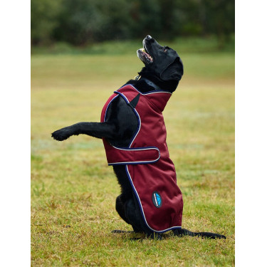 Coperta impermeabile per cani WeatherBeeta ComFiTec Premier Deluxe Borgogna / blu navy Coperta impermeabile per cani WeatherBeeta ComFiTec Premier Deluxe Borgogna / blu navy