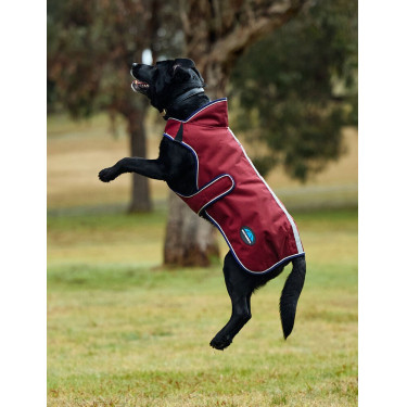 Coperta impermeabile per cani WeatherBeeta ComFiTec Premier Deluxe Borgogna / blu navy Coperta impermeabile per cani WeatherBeeta ComFiTec Premier Deluxe Borgogna / blu navy