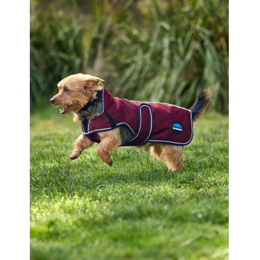Coperta impermeabile per cani WeatherBeeta ComFiTec Premier Deluxe Borgogna / blu navy Coperta impermeabile per cani WeatherBeeta ComFiTec Premier Deluxe Borgogna / blu navy