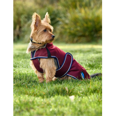 Coperta impermeabile per cani WeatherBeeta ComFiTec Premier Deluxe Borgogna / blu navy Coperta impermeabile per cani WeatherBeeta ComFiTec Premier Deluxe Borgogna / blu navy