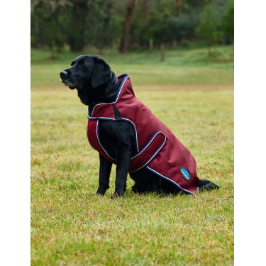Coperta impermeabile per cani WeatherBeeta ComFiTec Premier Deluxe Borgogna / blu navy Coperta impermeabile per cani WeatherBeeta ComFiTec Premier Deluxe Borgogna / blu navy