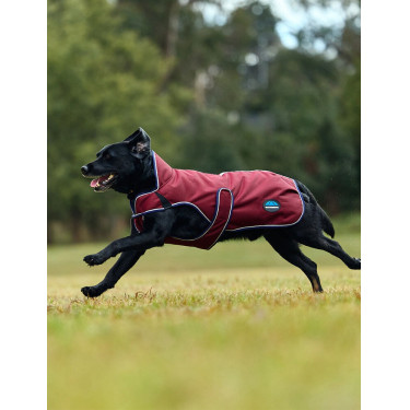 Coperta impermeabile per cani WeatherBeeta ComFiTec Premier Deluxe Borgogna / blu navy Coperta impermeabile per cani WeatherBeeta ComFiTec Premier Deluxe Borgogna / blu navy