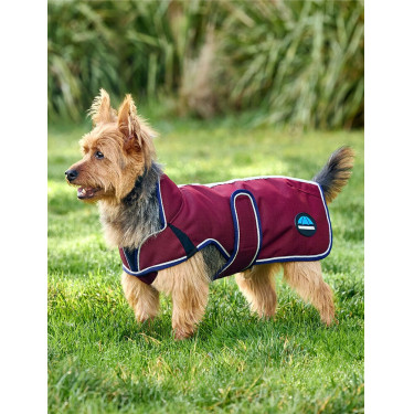 Coperta impermeabile per cani WeatherBeeta ComFiTec Premier Deluxe Borgogna / blu navy Coperta impermeabile per cani WeatherBeeta ComFiTec Premier Deluxe Borgogna / blu navy