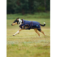 Coperta impermeabile per cani WeatherBeeta ComFiTec Premier Deluxe Borgogna / blu navy