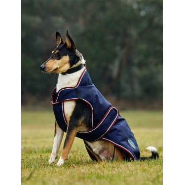 Coperta impermeabile per cani WeatherBeeta ComFiTec Premier Deluxe Blu navy / bordeaux