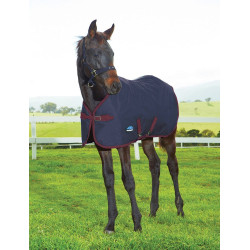 Coperta per puledro WeatherBeeta 1200D 220 g Blu navy / bordeaux
