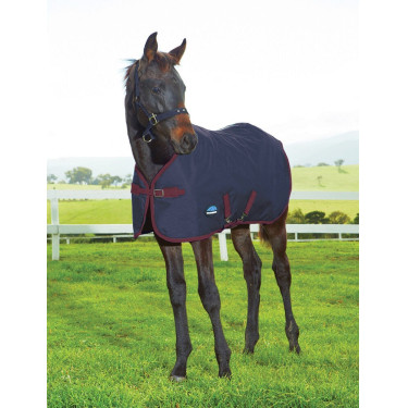Coperta per puledro WeatherBeeta 1200D 220 g Blu navy / bordeaux Coperta per puledro WeatherBeeta 1200D 220 g Blu navy / bordeaux