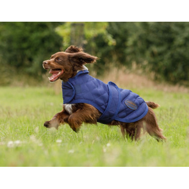 Coperta per cane Weatherbeeta ComFiTec Deluxe Diamond Quilt Marina Blu marino Coperta per cane Weatherbeeta ComFiTec Deluxe Diamond Quilt Marina Blu marino