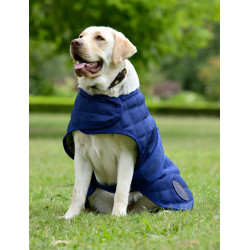 Coperta per cane Weatherbeeta ComFiTec Deluxe Diamond Quilt Marina Blu marino
