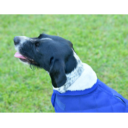 Coperta per cane Weatherbeeta ComFiTec Deluxe Diamond Quilt Marina Blu marino