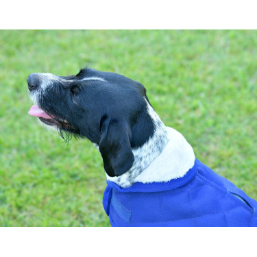 Coperta per cane Weatherbeeta ComFiTec Deluxe Diamond Quilt Marina Blu marino Coperta per cane Weatherbeeta ComFiTec Deluxe Diamond Quilt Marina Blu marino