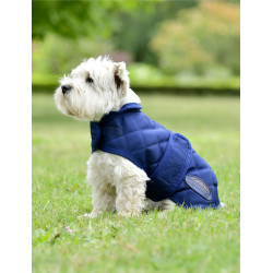 Coperta per cane Weatherbeeta ComFiTec Deluxe Diamond Quilt Marina Blu marino
