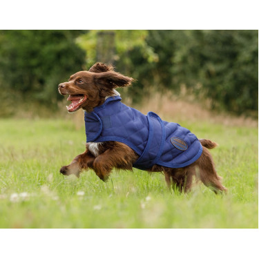 Coperta per cane Weatherbeeta ComFiTec Deluxe Diamond Quilt Marina Blu marino Coperta per cane Weatherbeeta ComFiTec Deluxe Diamond Quilt Marina Blu marino
