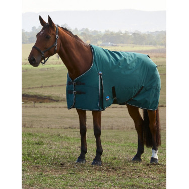Coperta Weatherbeeta ComFiTec Classic Turnout 220 g Verde foresta / nero Coperta Weatherbeeta ComFiTec Classic Turnout 220 g Verde foresta / nero