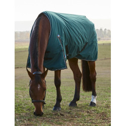Coperta Weatherbeeta ComFiTec Classic Turnout 220 g Verde foresta / nero Coperta Weatherbeeta ComFiTec Classic Turnout 220 g Verde foresta / nero