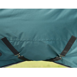 Coperta Weatherbeeta ComFiTec Classic Turnout 220 g Verde foresta / nero Coperta Weatherbeeta ComFiTec Classic Turnout 220 g Verde foresta / nero