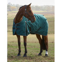 Coperta Weatherbeeta ComFiTec Classic Turnout 220 g Verde foresta / nero Coperta Weatherbeeta ComFiTec Classic Turnout 220 g Verde foresta / nero