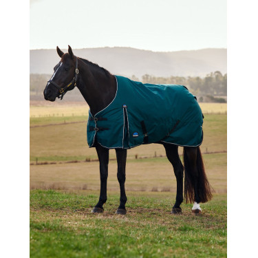 Coperta Weatherbeeta ComFiTec Classic Turnout 50 g Verde foresta / nero Coperta Weatherbeeta ComFiTec Classic Turnout 50 g Verde foresta / nero