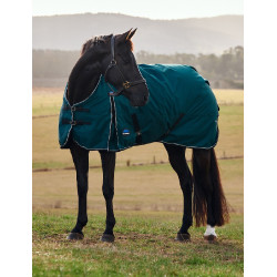 Coperta Weatherbeeta ComFiTec Classic Turnout 50 g Verde foresta / nero Coperta Weatherbeeta ComFiTec Classic Turnout 50 g Verde foresta / nero