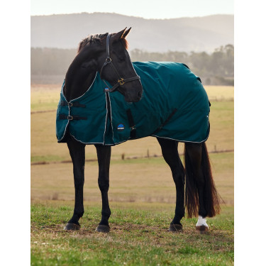Coperta Weatherbeeta ComFiTec Classic Turnout 50 g Verde foresta / nero Coperta Weatherbeeta ComFiTec Classic Turnout 50 g Verde foresta / nero
