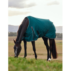 Coperta Weatherbeeta ComFiTec Classic Turnout 50 g Verde foresta / nero Coperta Weatherbeeta ComFiTec Classic Turnout 50 g Verde foresta / nero