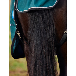 Coperta Weatherbeeta ComFiTec Classic Turnout 50 g Verde foresta / nero Coperta Weatherbeeta ComFiTec Classic Turnout 50 g Verde foresta / nero