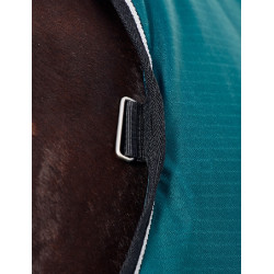 Coperta Weatherbeeta ComFiTec Classic Turnout 50 g Verde foresta / nero Coperta Weatherbeeta ComFiTec Classic Turnout 50 g Verde foresta / nero