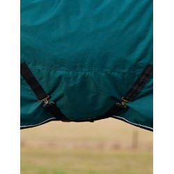 Coperta Weatherbeeta ComFiTec Classic Turnout 50 g Verde foresta / nero Coperta Weatherbeeta ComFiTec Classic Turnout 50 g Verde foresta / nero