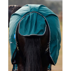 Coperta Weatherbeeta ComFiTec Classic Turnout 50 g Verde foresta / nero Coperta Weatherbeeta ComFiTec Classic Turnout 50 g Verde foresta / nero