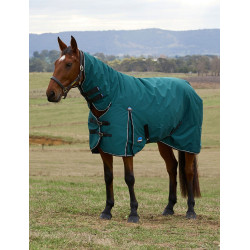 new Verde foresta / nero