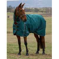 new Verde foresta / nero new Verde foresta / nero