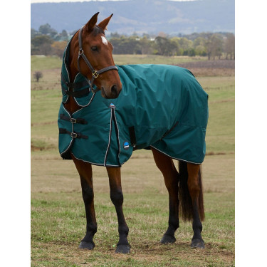 new Verde foresta / nero new Verde foresta / nero
