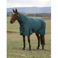 new Verde foresta / nero new Verde foresta / nero