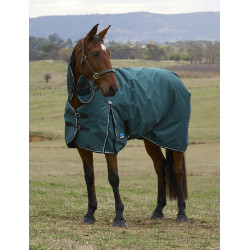 new Verde foresta / nero