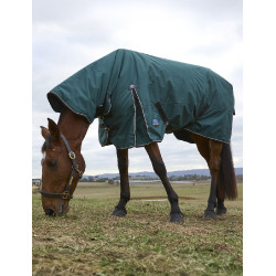 new Verde foresta / nero