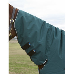 new Verde foresta / nero