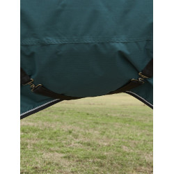 new Verde foresta / nero