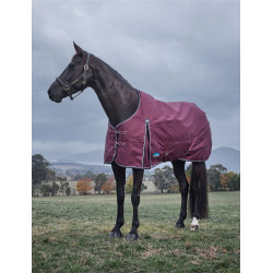 new Borgogna / blu navy