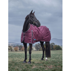 new Borgogna / blu navy