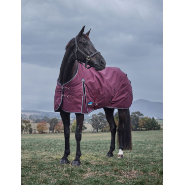 new Borgogna / blu navy new Borgogna / blu navy