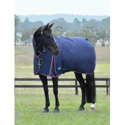 Coperta Weatherbeeta ComFiTec Essential Turnout 360 g combo Blu navy / bordeaux