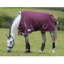 Coperta Weatherbeeta ComFiTec Plus Dynamic II Medium / Lite Bordeaux / grigio / bianco Coperta Weatherbeeta ComFiTec Plus Dynamic II Medium / Lite Bordeaux / grigio / bianco