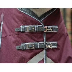 Coperta Weatherbeeta ComFiTec Plus Dynamic II Medium / Lite Bordeaux / grigio / bianco Coperta Weatherbeeta ComFiTec Plus Dynamic II Medium / Lite Bordeaux / grigio / bianco