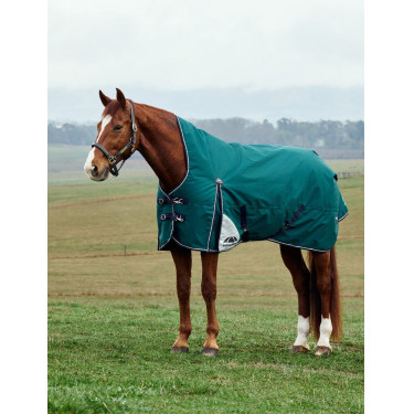 Coperta Weatherbeeta ComFiTec Plus Dynamic Turnout 100 g collo alto Verde foresta / blu navy Coperta Weatherbeeta ComFiTec Plus Dynamic Turnout 100 g collo alto Verde foresta / blu navy