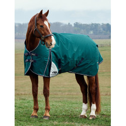 Coperta Weatherbeeta ComFiTec Plus Dynamic Turnout 100 g collo alto Verde foresta / blu navy