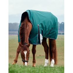 Coperta Weatherbeeta ComFiTec Plus Dynamic Turnout 100 g collo alto Verde foresta / blu navy