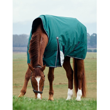 Coperta Weatherbeeta ComFiTec Plus Dynamic Turnout 100 g collo alto Verde foresta / blu navy Coperta Weatherbeeta ComFiTec Plus Dynamic Turnout 100 g collo alto Verde foresta / blu navy